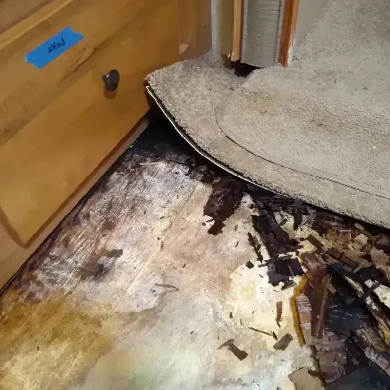 Wood Floor Water Damage in Edgewater, IL